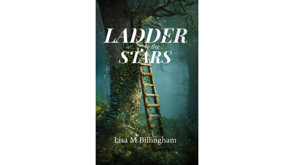 Ladder to the Stars